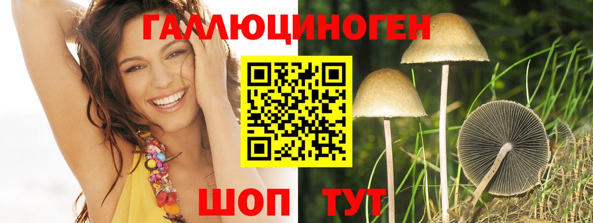 Псилоцибиновые грибы мухоморы Балашов